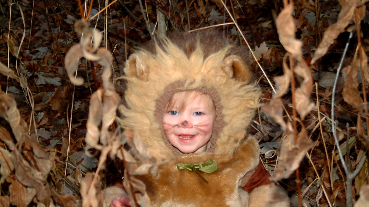 lion costume