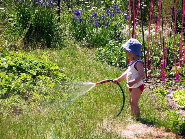 little gardener