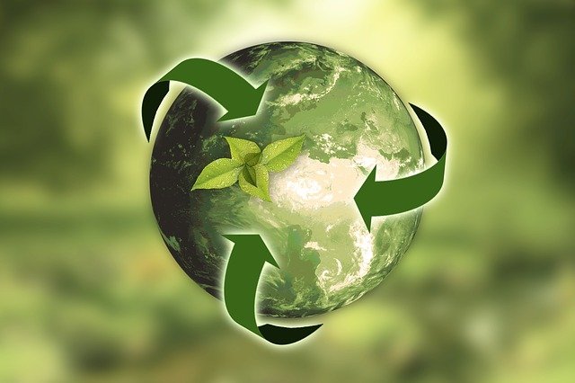 El reciclaje y los niños: ¿cómo enseñarles a reciclar?
